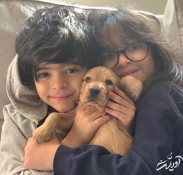 دوقلوهای مجید صالحی